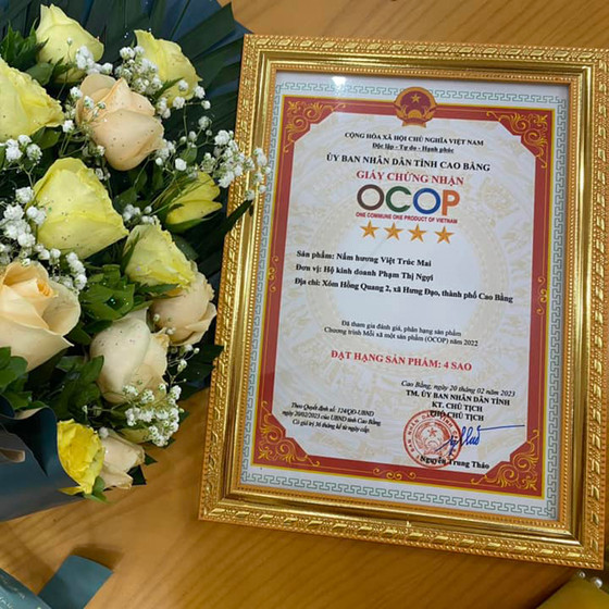  Nấm hương Việt Trúc Mai