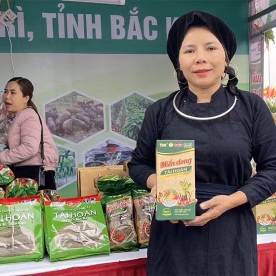 Miến dong Tài Hoan