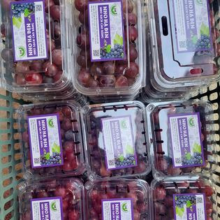 Nho Hạ đen - nho sạch Cao Bằng