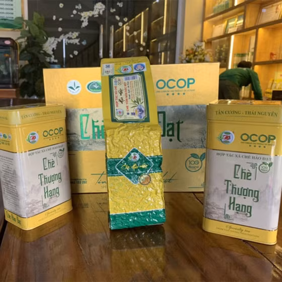 Trà nõn tôm Tân Cương Hảo Đạt