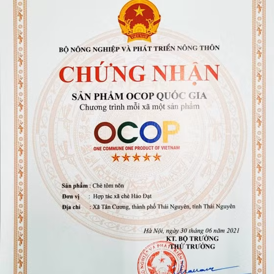 Trà nõn tôm Tân Cương Hảo Đạt