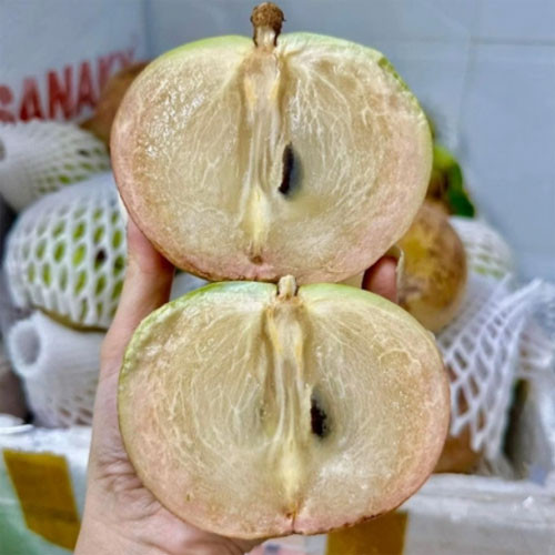 Vú sữa bơ hồng