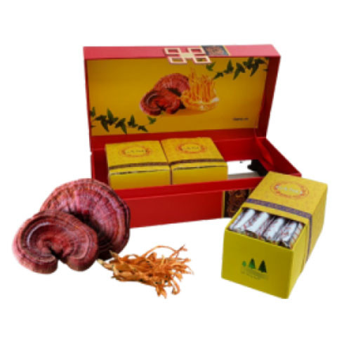 Linh chi mật ong đông trùng hạ thảo