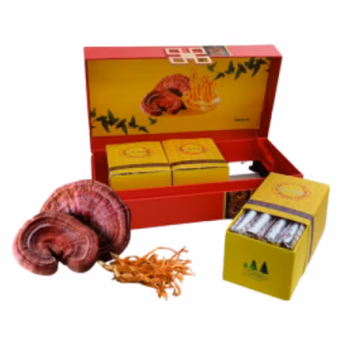 Linh chi mật ong đông trùng hạ thảo