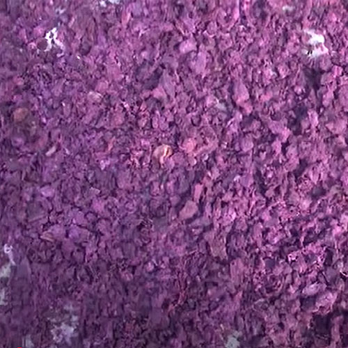 Gạo tím Đức Hưng