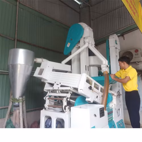 Gạo tươi nguyên cám Song Đàm