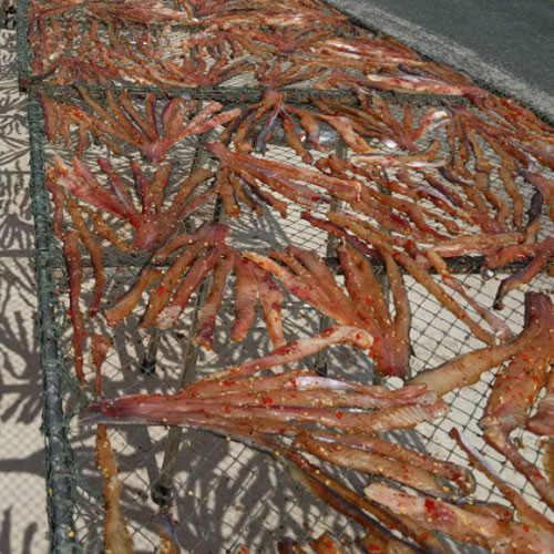 Khô cá tra một nắng Út Anh