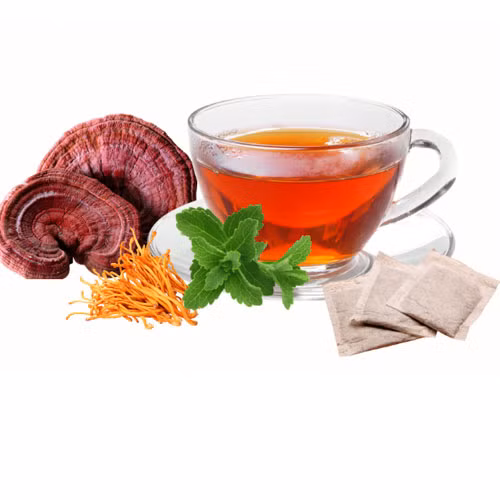 Linh chi mật ong đông trùng hạ thảo