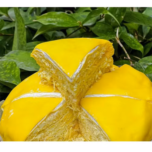 Bánh sầu riêng ngàn lớp truyền thống 9 Sạch 