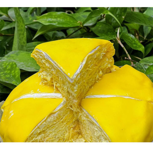 Bánh sầu riêng ngàn lớp truyền thống 9 Sạch 