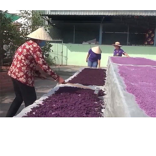 Gạo tím Đức Hưng