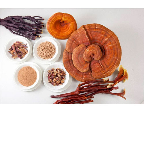 Nước uống linh chi đông trùng hạ thảo