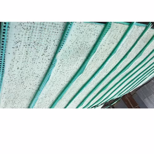 Bánh tráng ngọt Kiều Dúng hương vị sữa