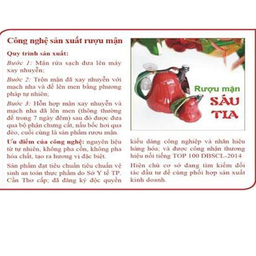 Rượu mận Sáu Tia