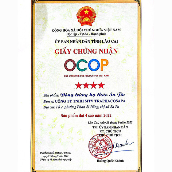 Đông trùng hạ thảo Sa Pa