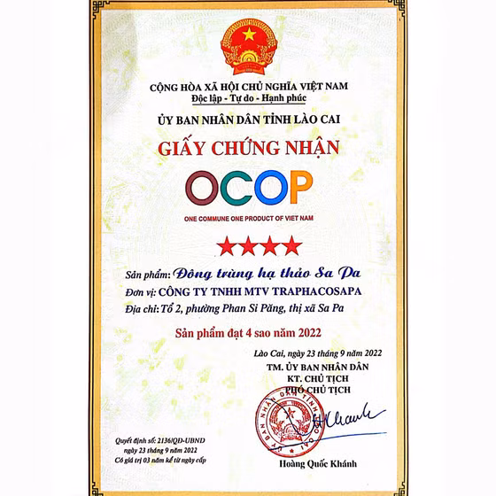 Đông trùng hạ thảo Sa Pa