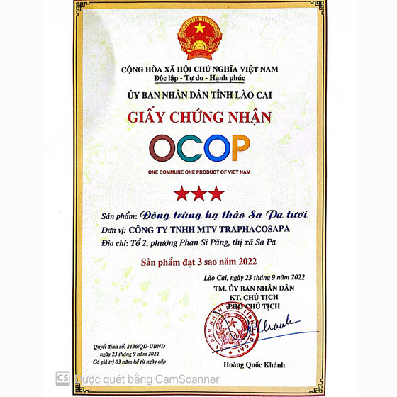 Đông trùng hạ thảo Sa Pa tươi 