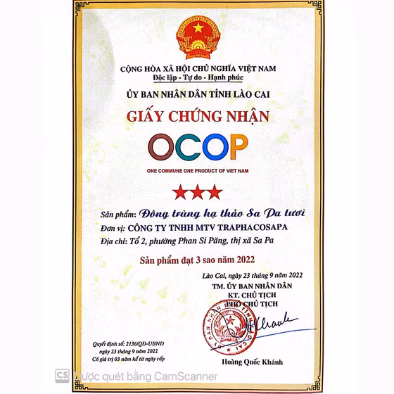 Đông trùng hạ thảo Sa Pa tươi 