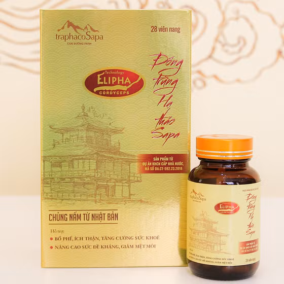 Viên nang đông trùng hạ thảo Sapa 