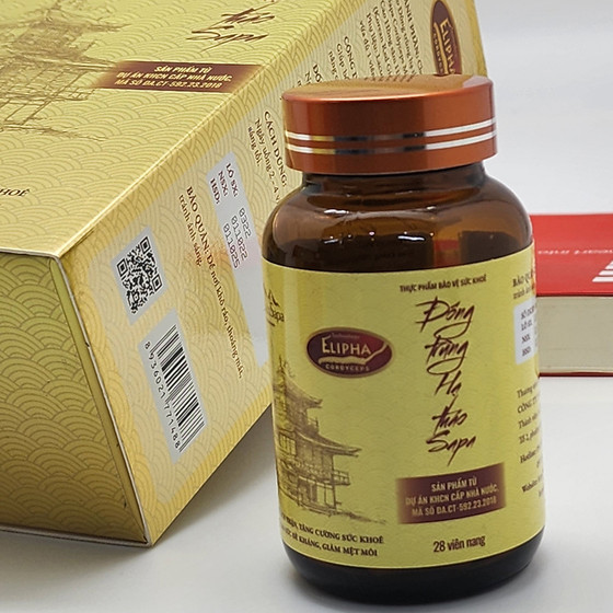 Viên nang đông trùng hạ thảo Sapa 