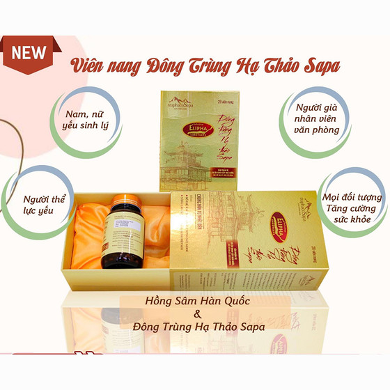 Viên nang đông trùng hạ thảo Sapa 