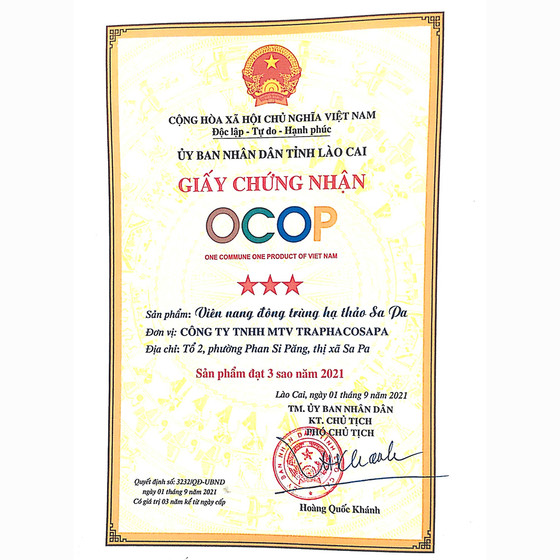 Viên nang đông trùng hạ thảo Sapa 