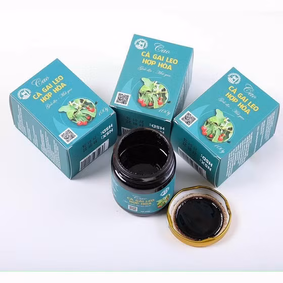 Cao cà gai leo Hợp Hòa