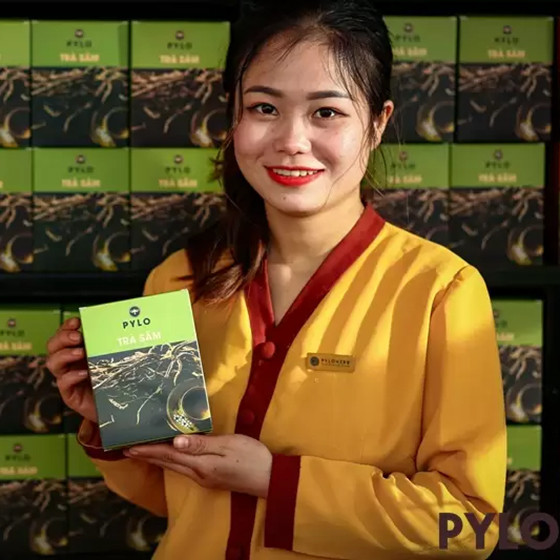 Trà sâm PyLo