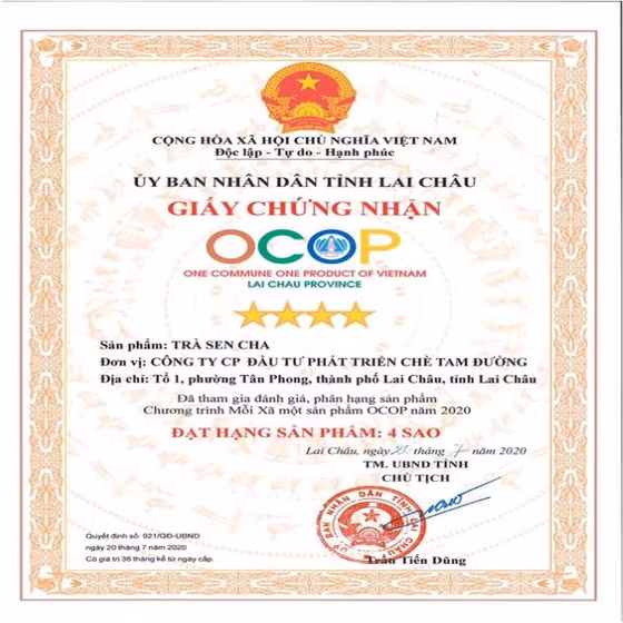 Trà Sencha Tam Đường