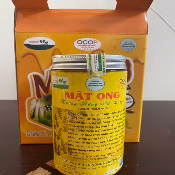 Mật ong hương rừng xứ Lạng 