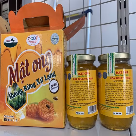 Mật ong hương rừng xứ Lạng 