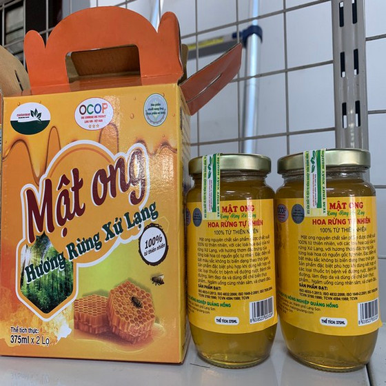 Mật ong hương rừng xứ Lạng 
