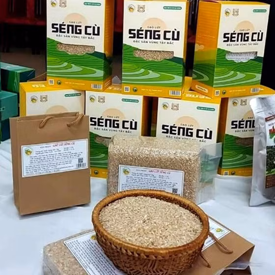 Gạo lứt Séng Cù 