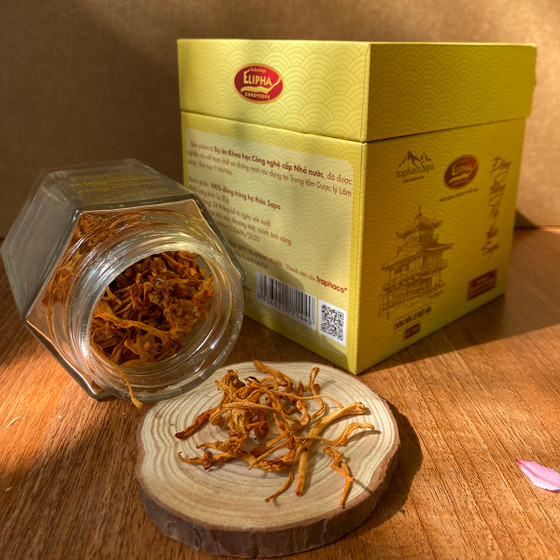 Đông trùng hạ thảo Sa Pa