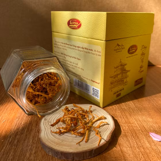 Đông trùng hạ thảo Sa Pa