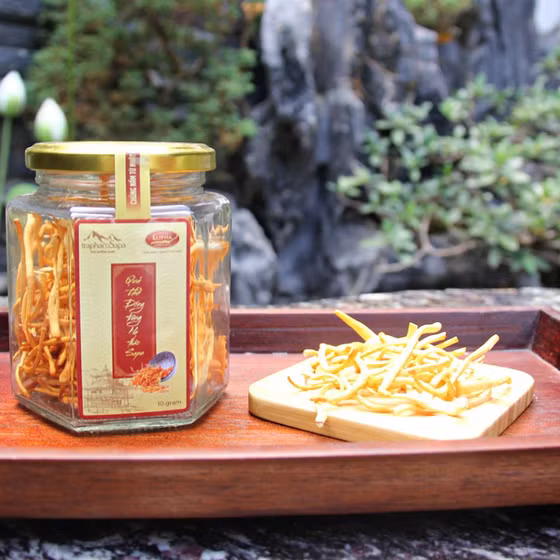 Đông trùng hạ thảo Sa Pa