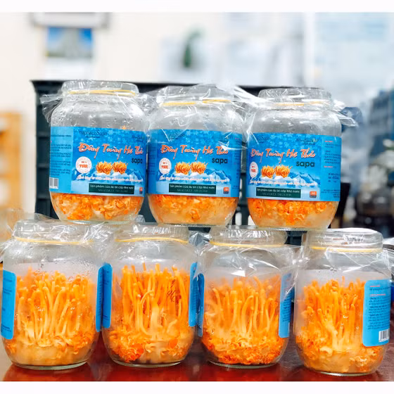 Đông trùng hạ thảo Sa Pa tươi 