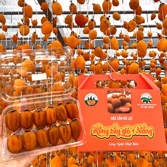 Hồng sấy gió công nghệ Nhật Bản 