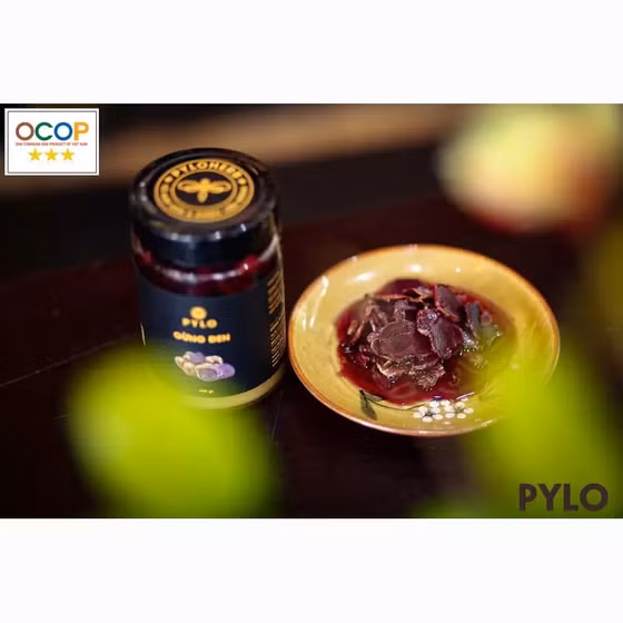 Gừng đen PyLo 