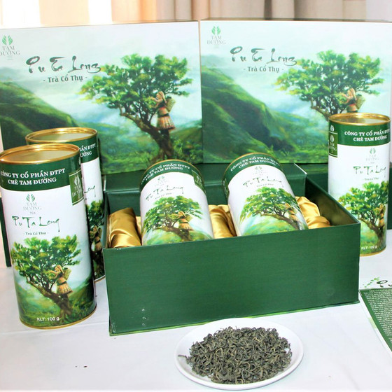 Trà cổ thụ Pu Ta Leng 