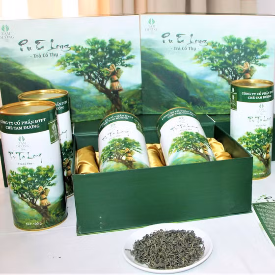 Trà cổ thụ Pu Ta Leng 