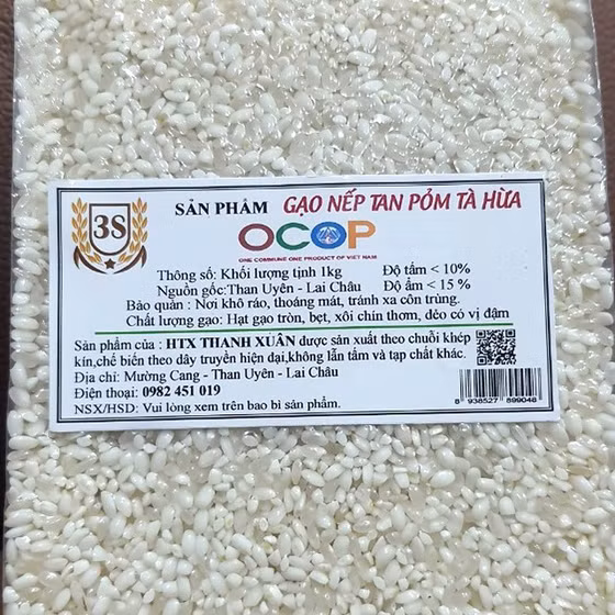 Gạo nếp Tan Pỏm Tà Hừa