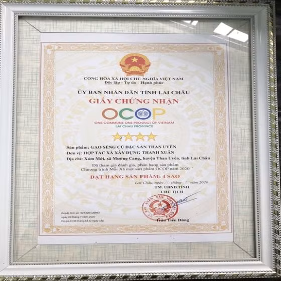 Gạo Séng Cù đặc sản Than Uyên