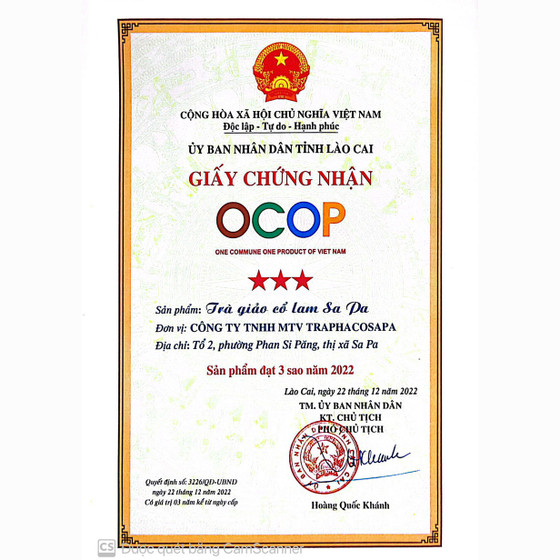 Trà giảo cổ lam Sa Pa 