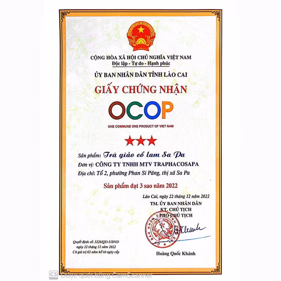 Trà giảo cổ lam Sa Pa 