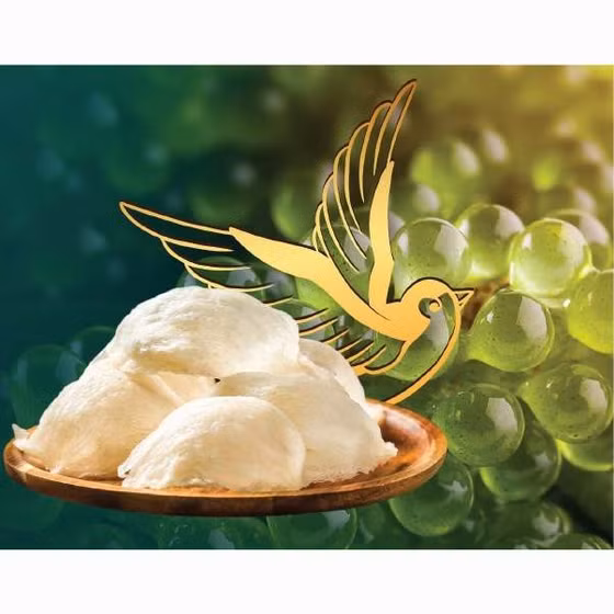 Sữa non tổ yến DTNest For Kid