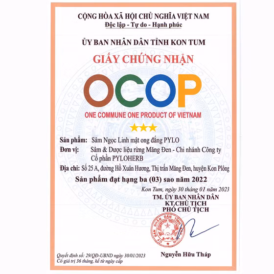 Sâm Ngọc Linh mật ong đắng PyLo