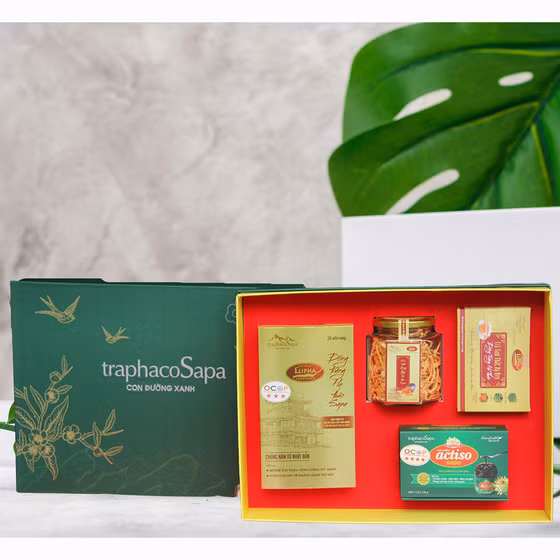 Trà phun sương actiso Sa Pa 