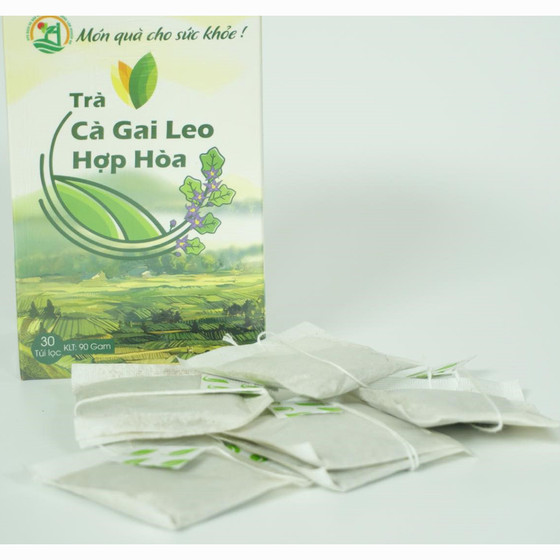 Trà cà gai leo Hợp Hòa