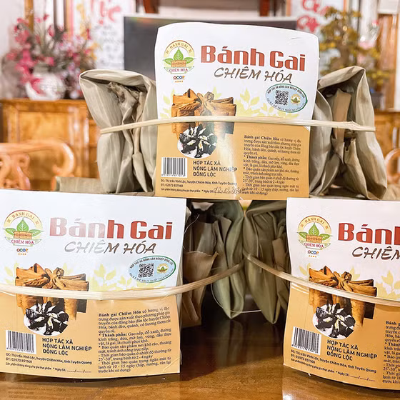 Bánh gai Chiêm Hóa